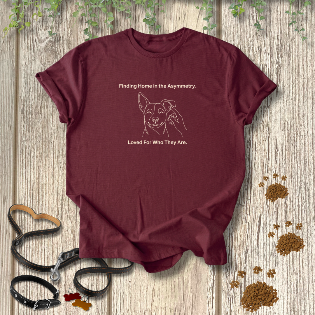 Finding Home in the Asymmetry T-shirt