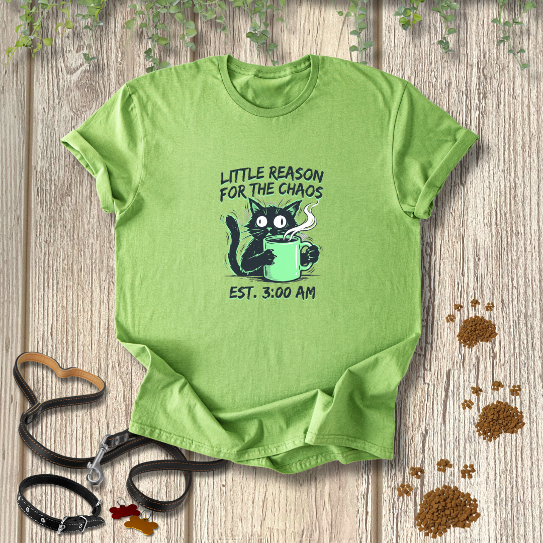 Little Reason For The Chaos