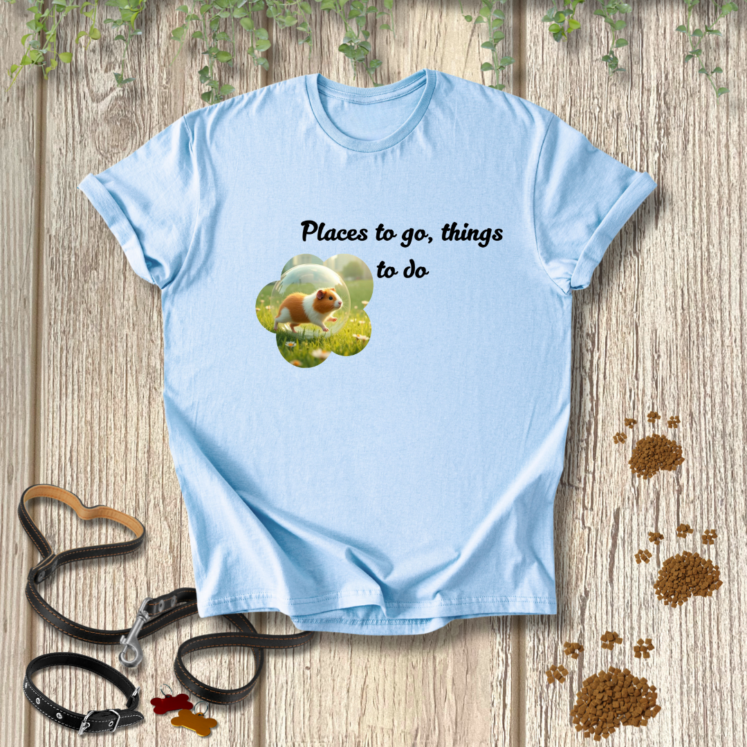 Places to go, things to do