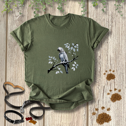 African Grey