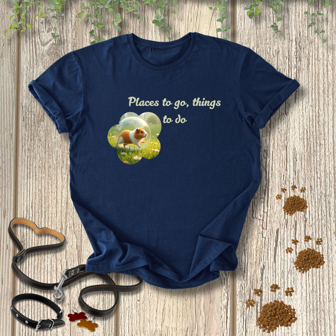 Places to go, things to do