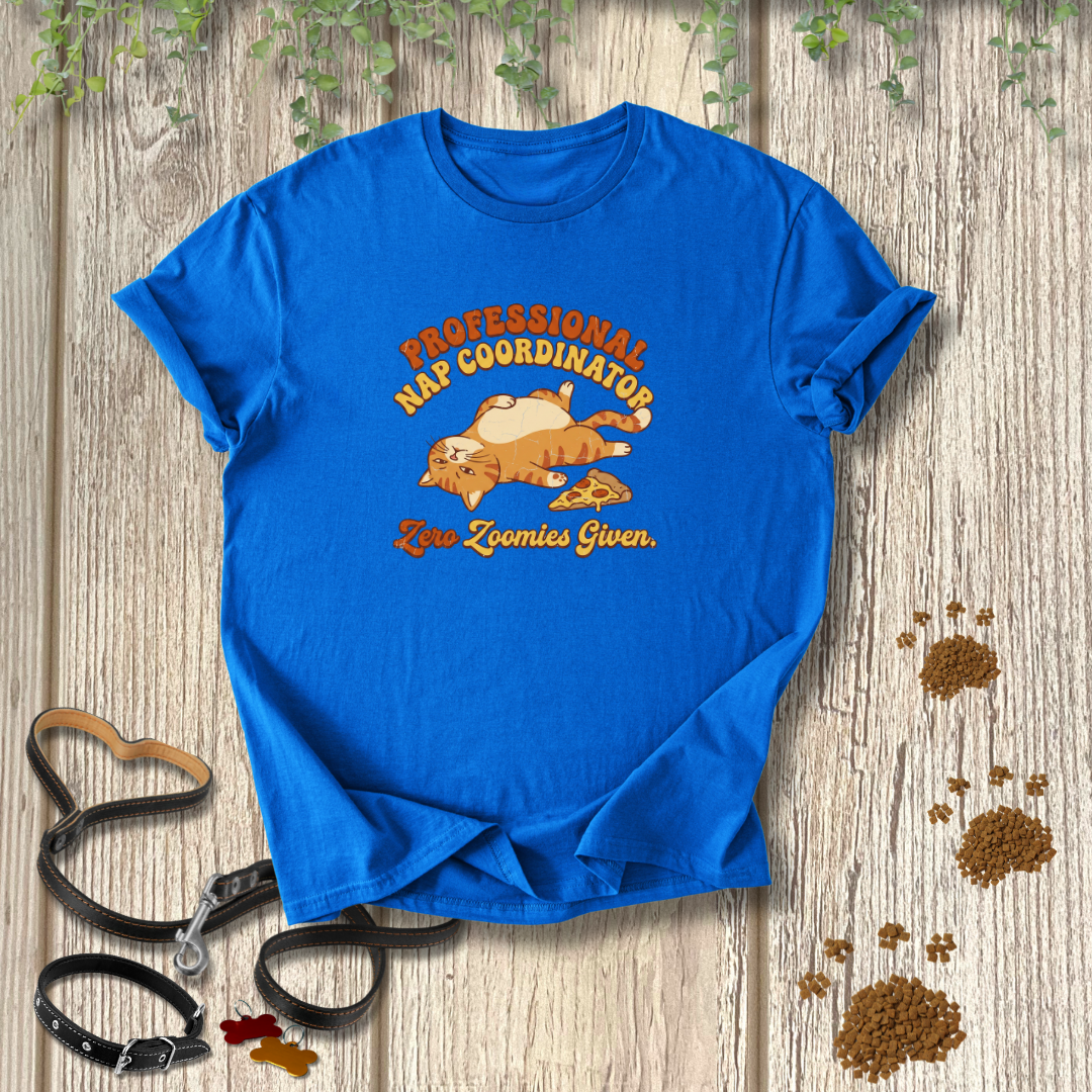 Professional Nap Coodinator