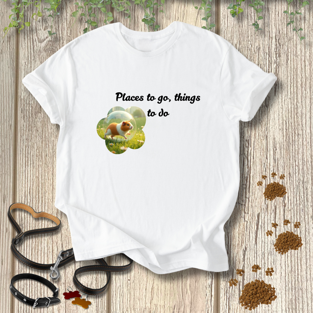 Places to go, things to do