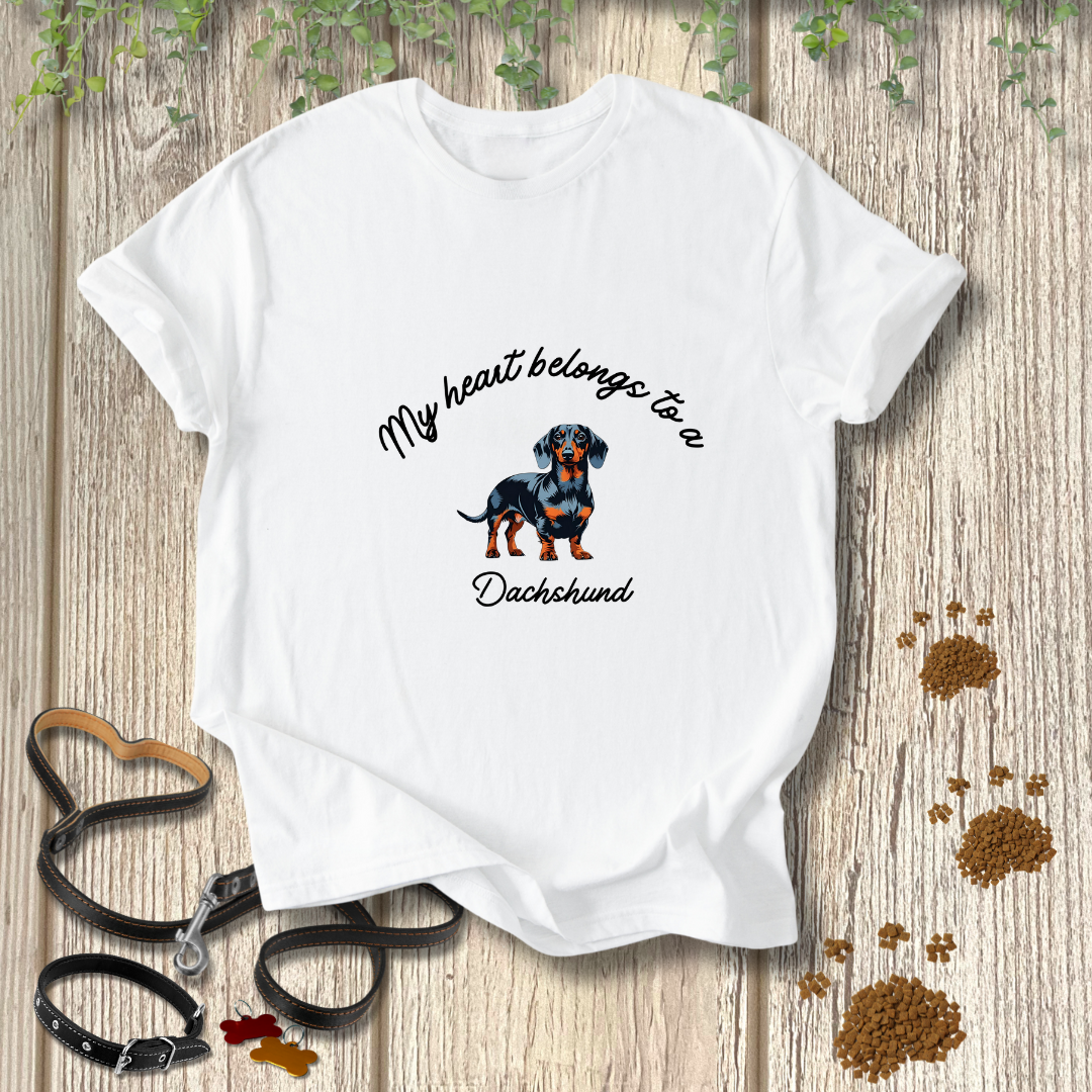 My heart belongs to a Dachshund