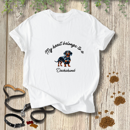 My heart belongs to a Dachshund