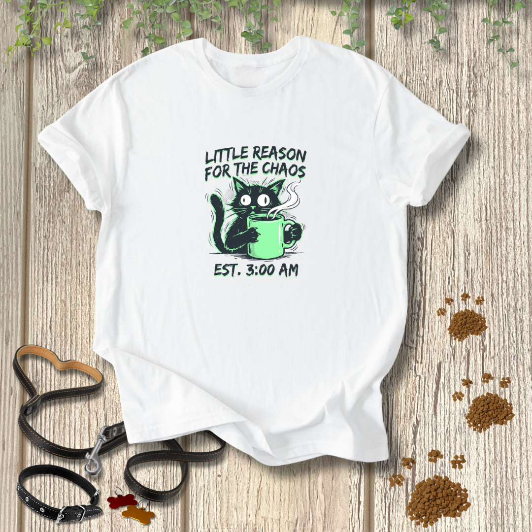 Little Reason For The Chaos