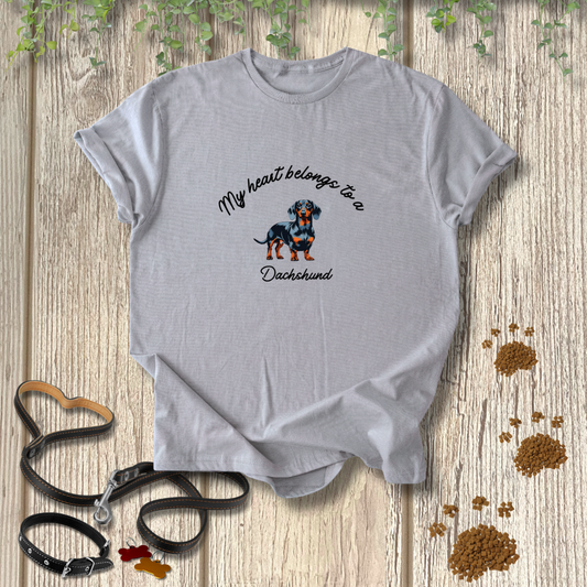 My heart belongs to a Dachshund