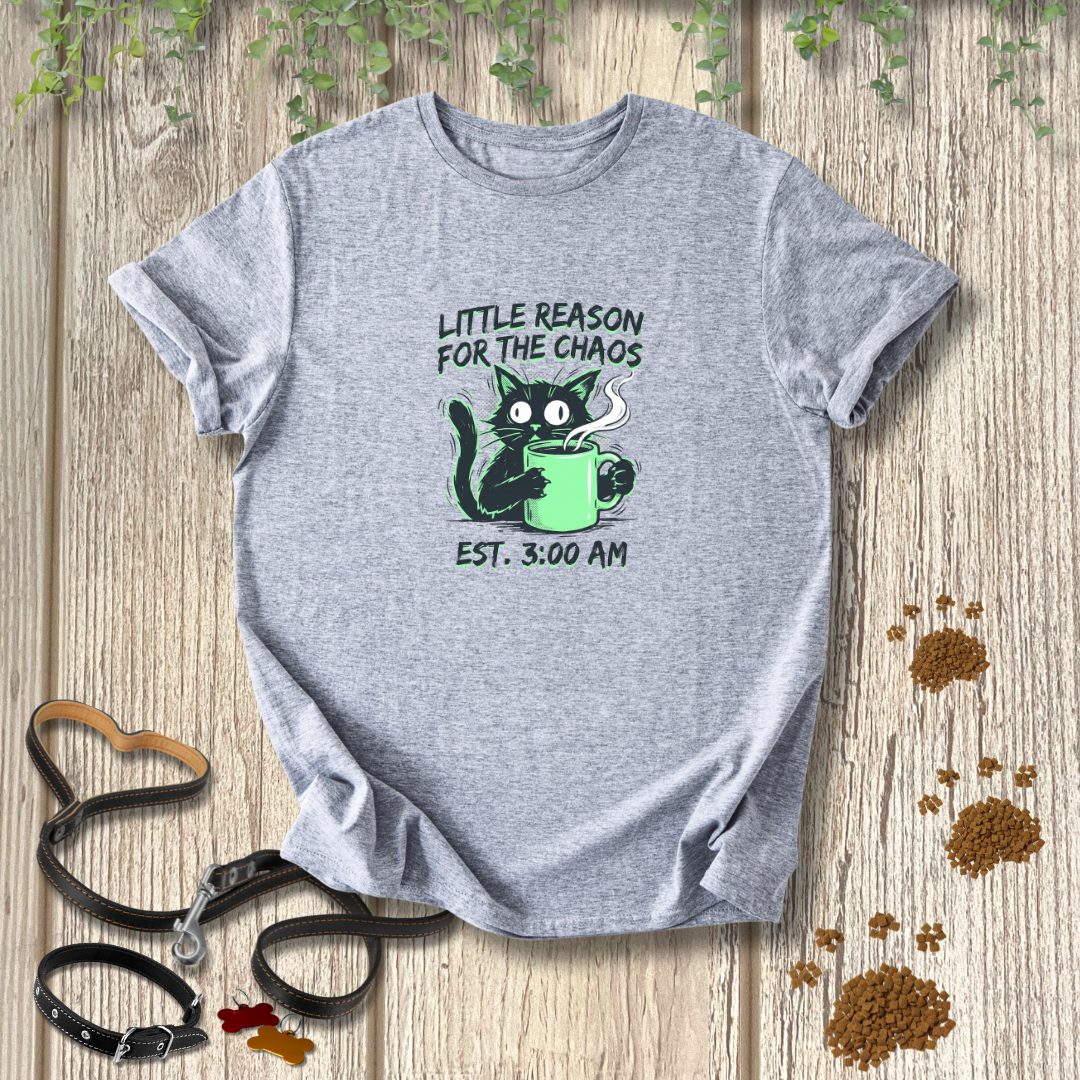 Little Reason For The Chaos