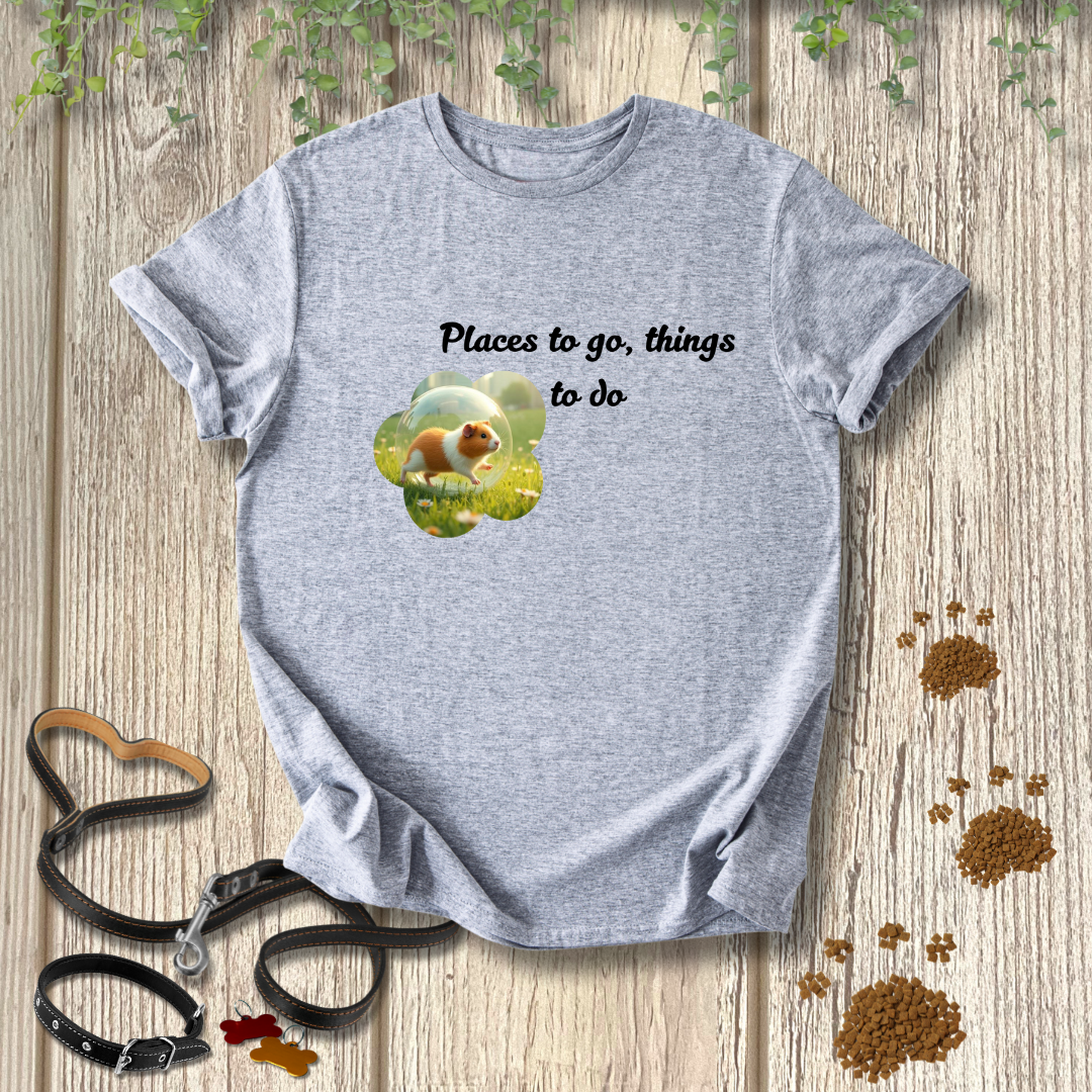 Places to go, things to do