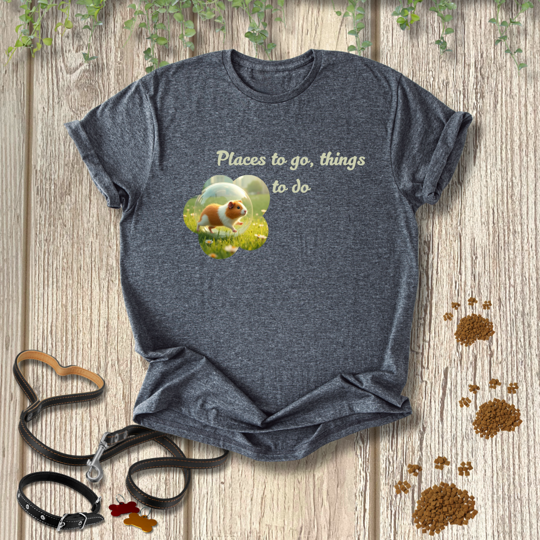 Places to go, things to do