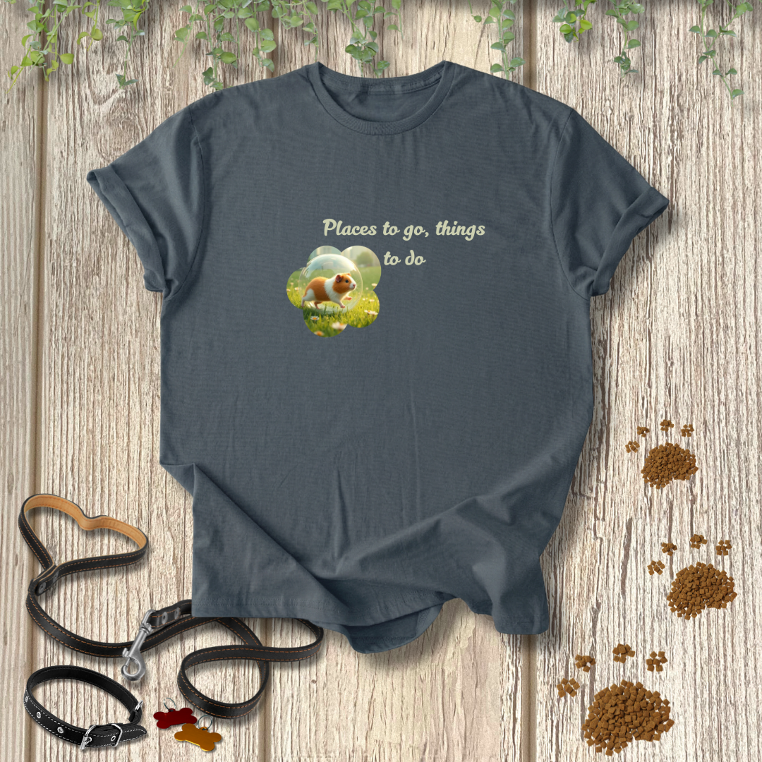 Places to Go T-shirt