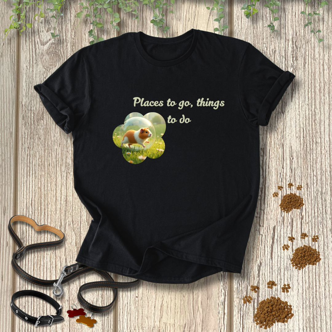 Places to go, things to do