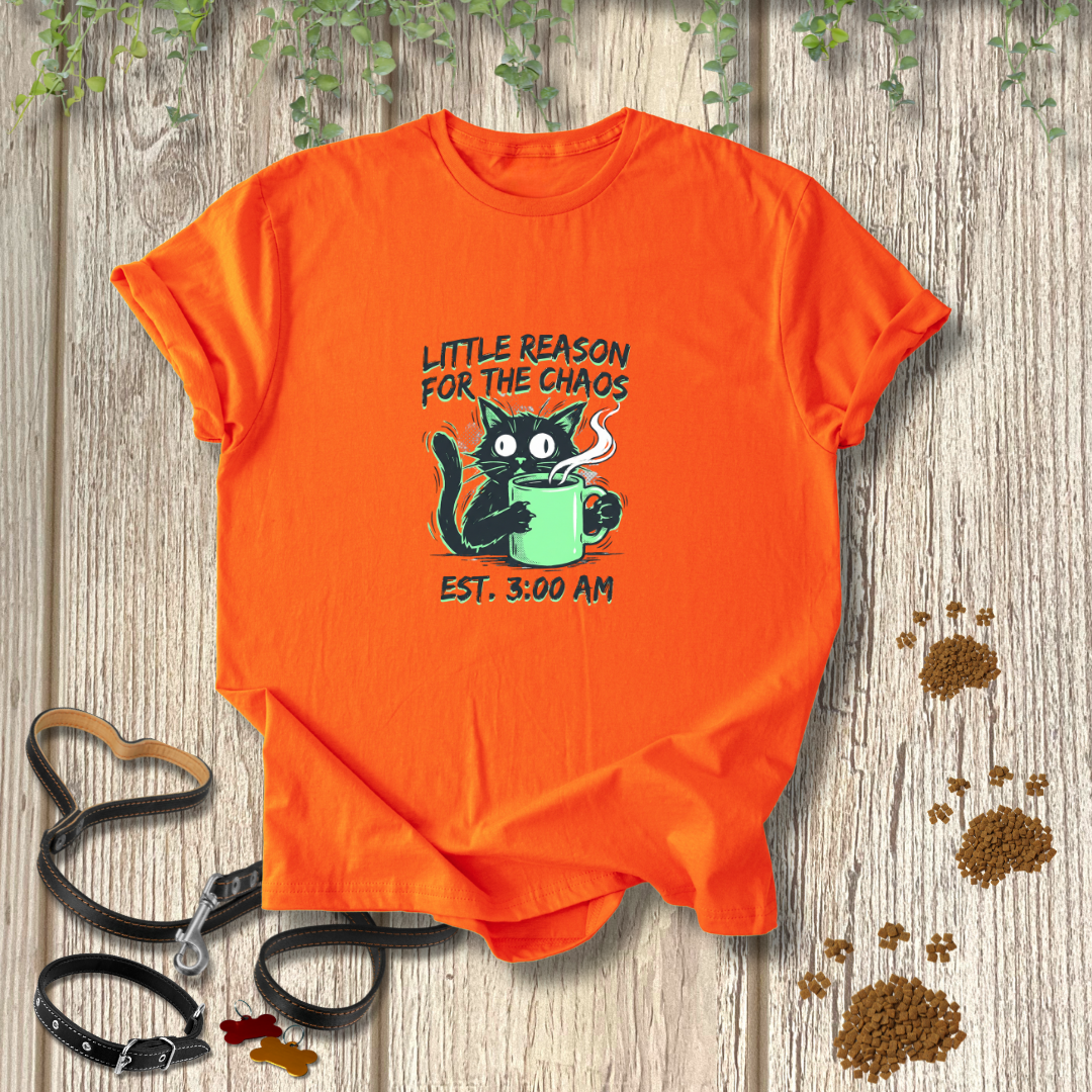 Little Reason For The Chaos