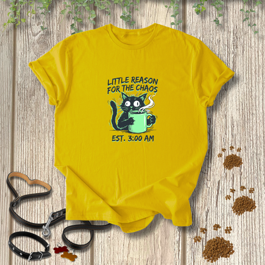 Little Reason For The Chaos