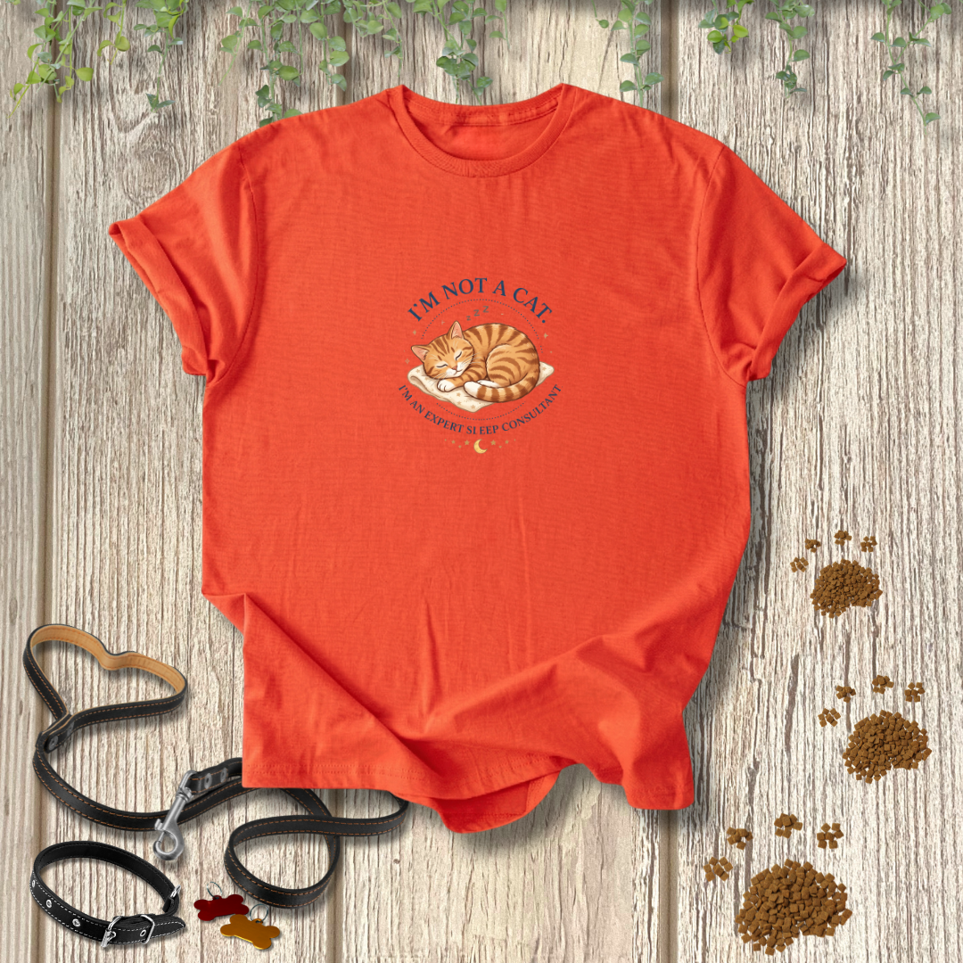 Expert Sleep Consultant T-shirt