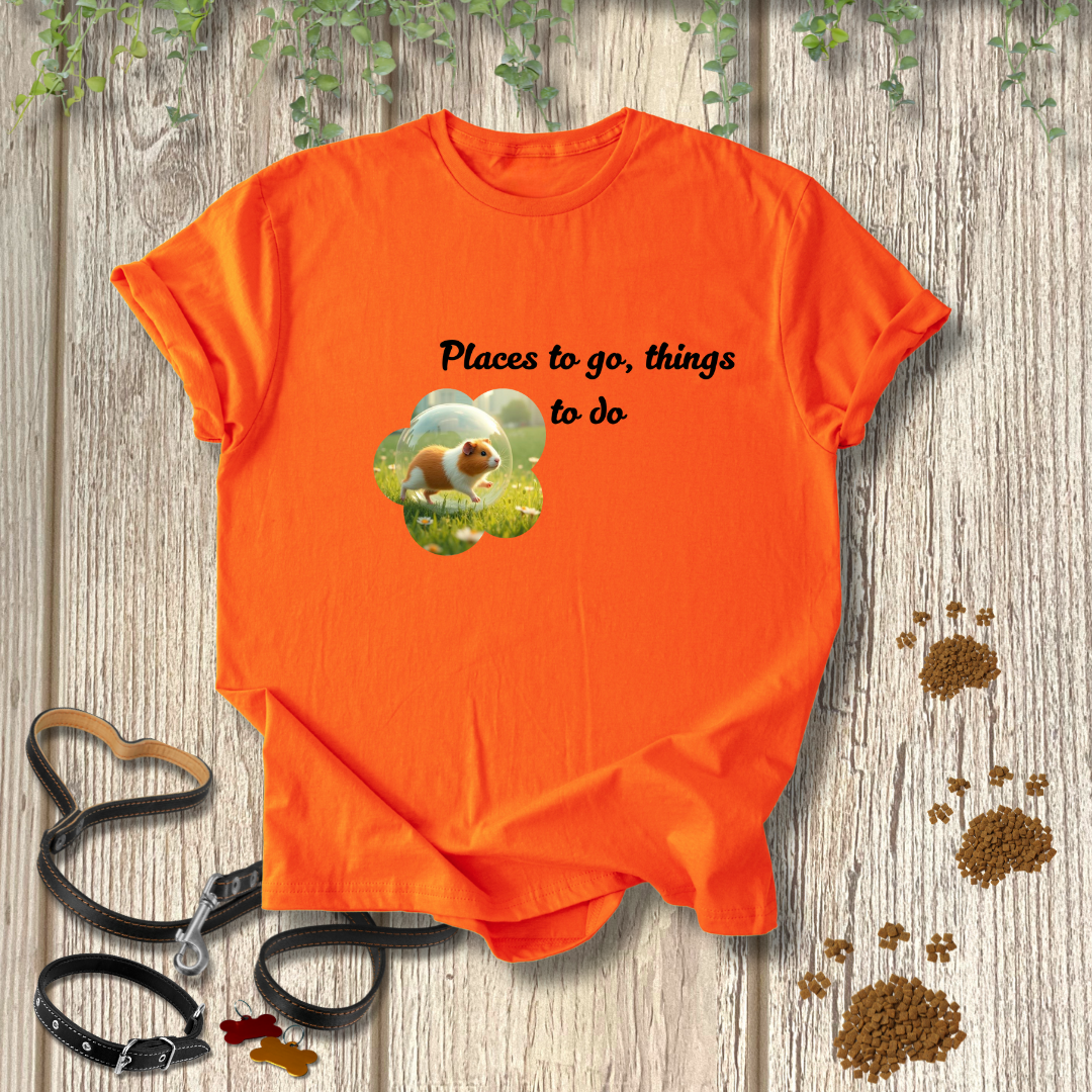 Places to go, things to do