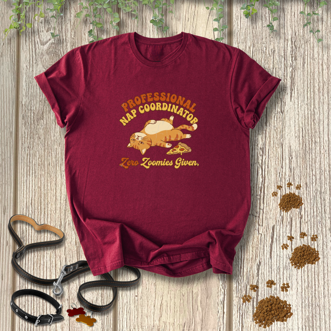 Professional Nap Coodinator