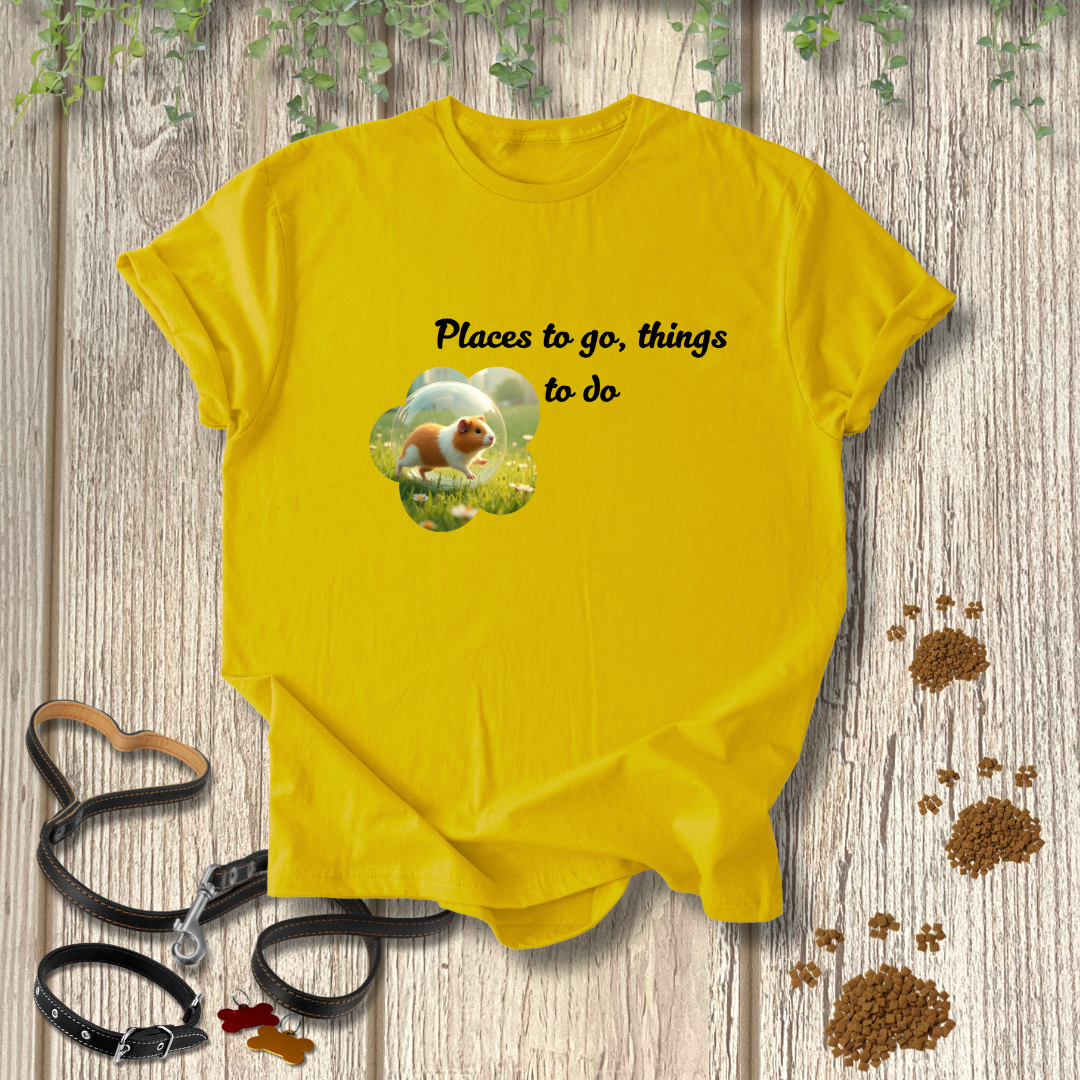 Places to go, things to do