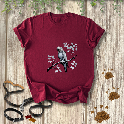 African Grey