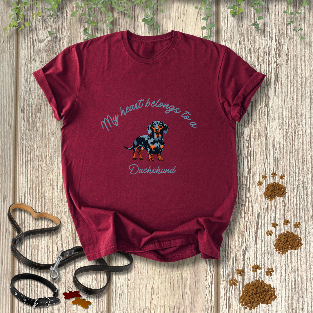My heart belongs to a Dachshund