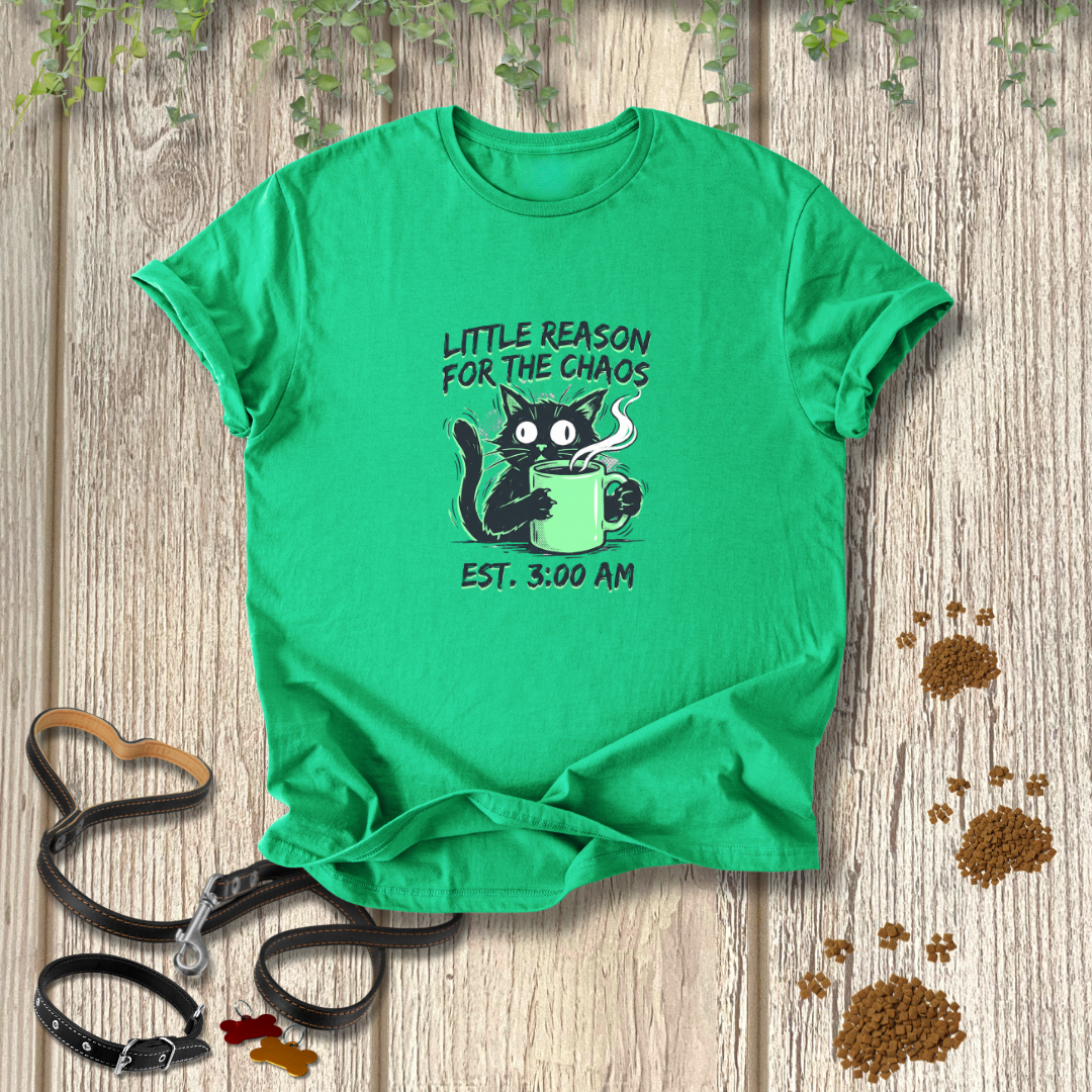 Little Reason For The Chaos