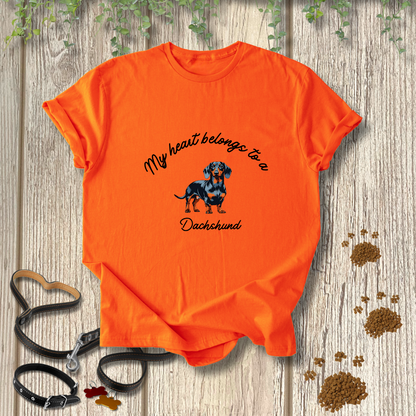 My heart belongs to a Dachshund