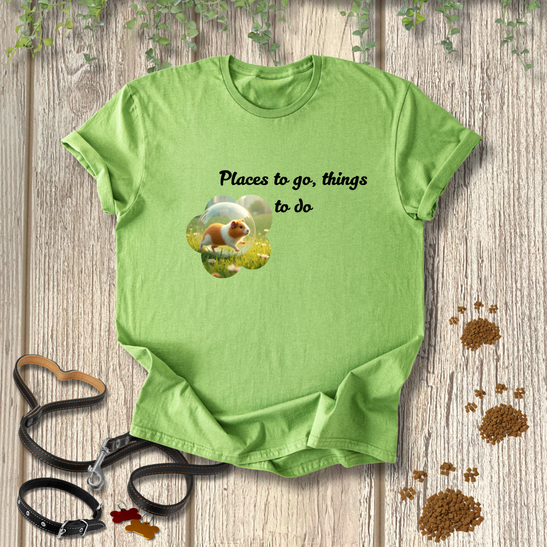 Places to go, things to do