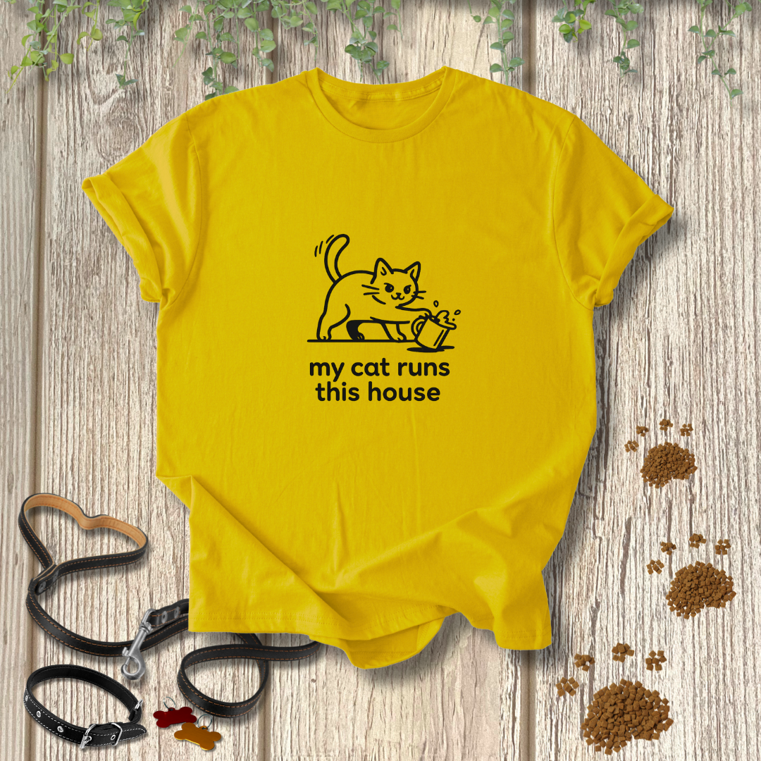 My cat runs this house