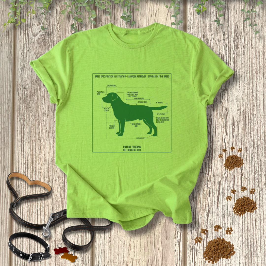 Breed Specification Illustration