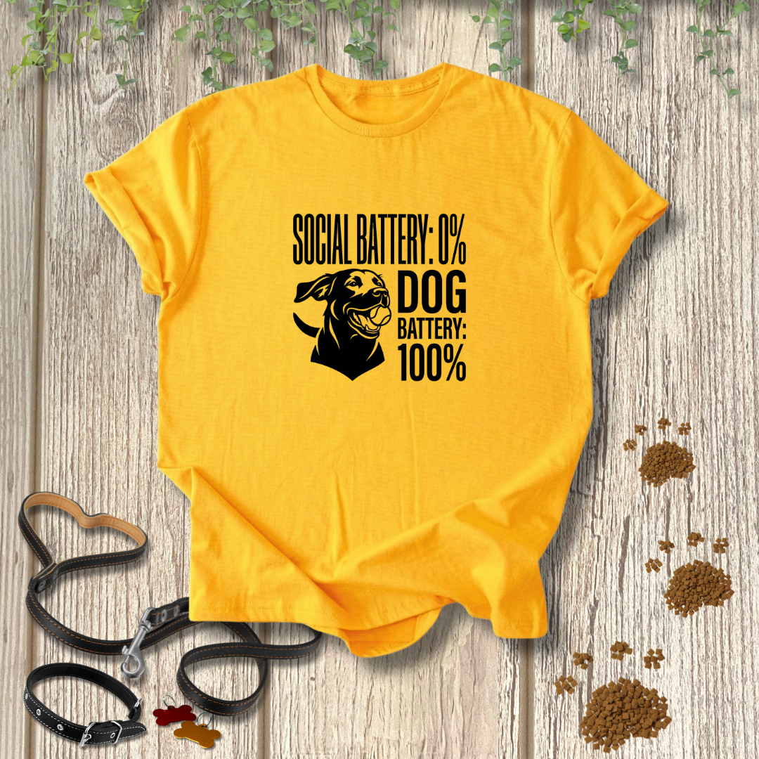 Social Battery 0% T-shirt