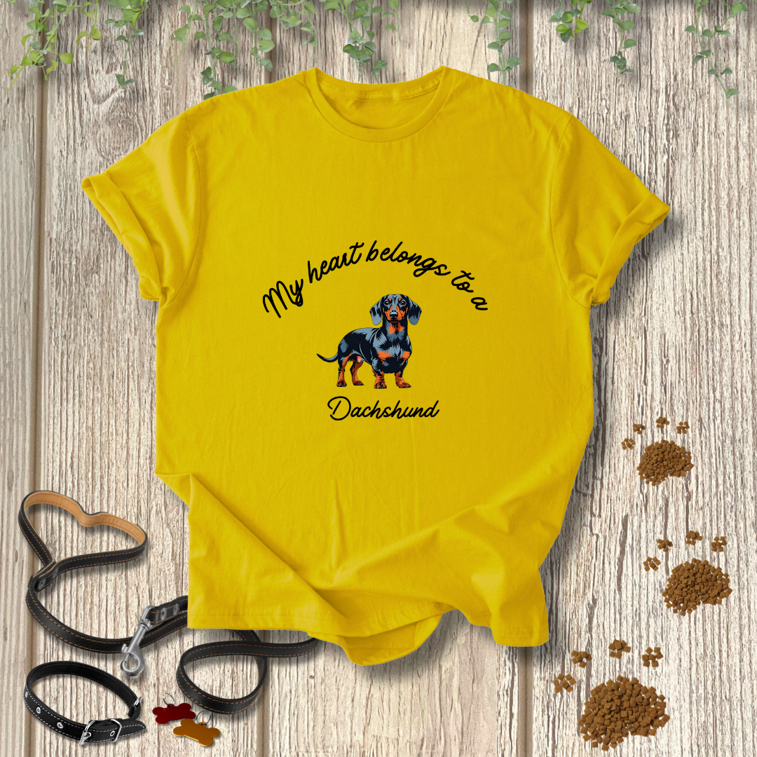 My heart belongs to a Dachshund