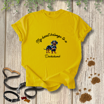 My heart belongs to a Dachshund