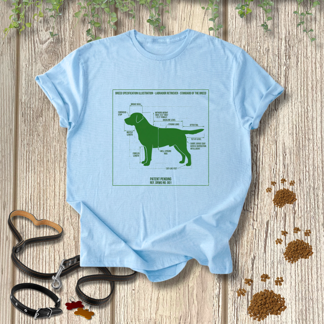 Breed Specification Illustration