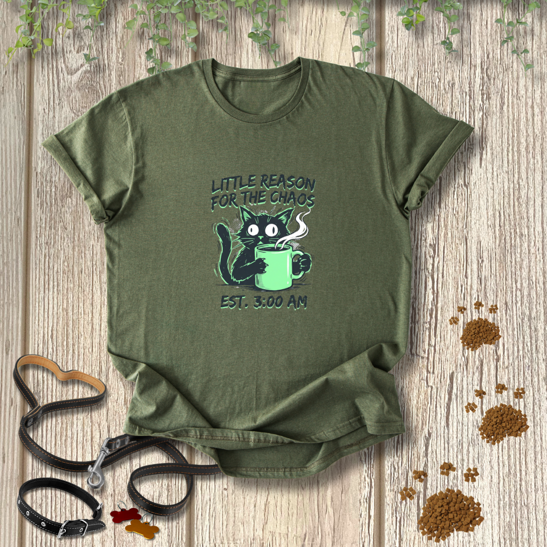 Little Reason For The Chaos