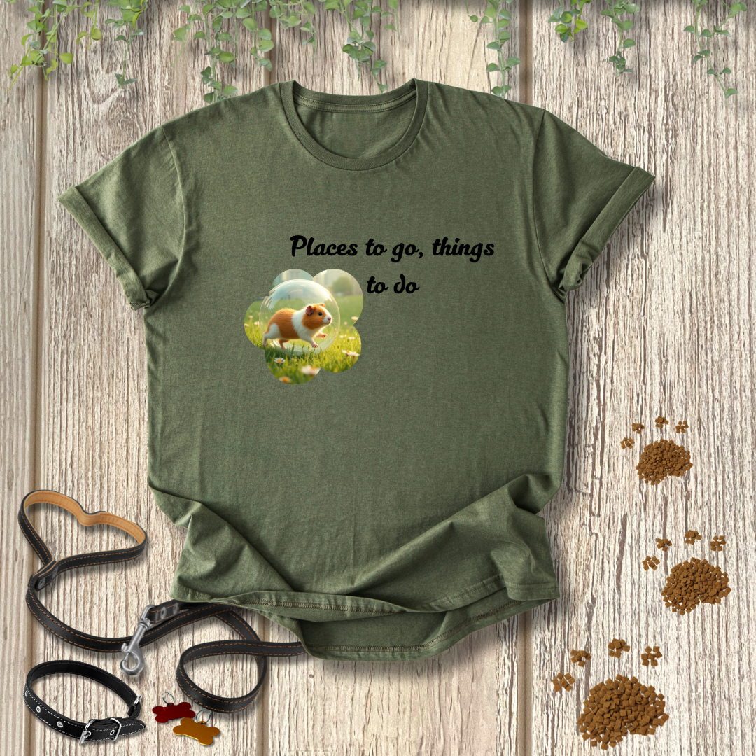 Places to go, things to do